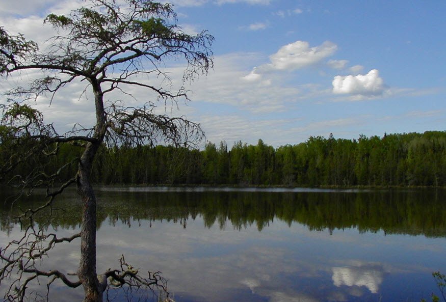 Lake Bemidji State Park, Minnesota, USA